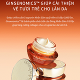 Sample Kem Dưỡng Mắt Nhân Sâm Cô Đặc Dưỡng Vùng Da Mắt Căng Sáng Rạng Rỡ Sulwhasoo Concentrated Ginseng Rejuvenating Eye Cream (12 gói )