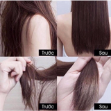 Set Dầu gội & Dầu xả thảo dược Đông Y Whoo Spa Essence Shampoo Chăm Sóc Da Đầu Phục Hồi Tóc Hư Tổn