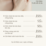 Kem dưỡng trẻ hoá và tái tạo sức sống làn da căng mịn  The History of Whoo Royal Regina Energetic Recharge Cream