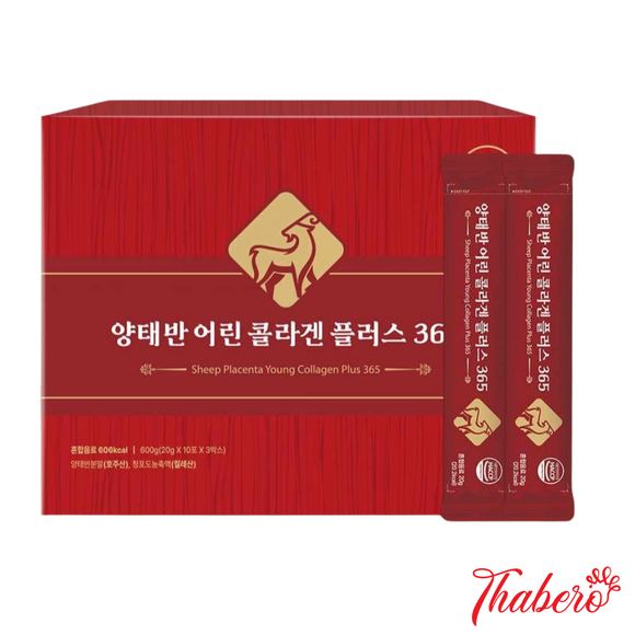 Nước collagen nhau thai cừu chống lão hoá, cải thiện sắc tố da, làm đẹp da và tăng cường sức khoẻ Sheep Placenta young collagen plus 365