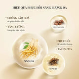 Bộ Kem Dưỡng và Tinh Chất Chống Lão Hóa Sớm Whoo Royal Regina 2PCS Set
