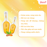 Nghệ nano đông trùng curcumin 365 premium Hàn Quốc  tăng sức đề kháng hỗ trợ tiêu hóa giúp tăng sức khoẻ cơ bắp giảm viêm và đau nhức cải thiện làn da sáng mịn