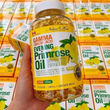 Tinh dầu hoa anh thảo  giúp điều hoà nội tiết giúp giãm triệu chứng tiền mãn kinh Gamma Linolenic Acid Hàn Quốc