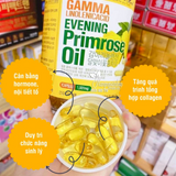 Tinh dầu hoa anh thảo  giúp điều hoà nội tiết giúp giãm triệu chứng tiền mãn kinh Gamma Linolenic Acid Hàn Quốc