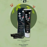 Kem Đánh Răng Hàn Quốc Hắc Sâm Hanil Black Ginseng Toothpaste