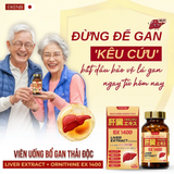 Viên uống bổ gan, thải độc gan Liver Extract + Ornithine EX 1400 Eikenbi - HSD: 2026/11 ( MUA 2 TẶNG 1 )