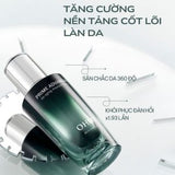 Tinh chất chống lão hóa sớm đa tầng OHUI Prime Advancer De-Aging Ampoule Serum mini size 20ml - KHÔNG HỘP - OHUI XANH