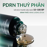 Tinh chất chống lõa hóa đa tầng PDRN, cải thiện độ săn chắc và đàn hồi OHUI Prime Advancer Original Energy 100 Ampoule Special Set - OHUI XANH