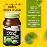 Viên Uống DHA - EPA bổ não, tăng cường thị lực, phòng chống đột quỵ Ginkgo NOGUCHI Nhật Bản