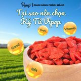 Kỷ Tử Ninh Hạ 100% thiên nhiên Vipep
