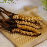 Thạch  hắc sâm đông trùng hạ thảo Hàn Quốc phòng chống suy nhược , tăng sức đề kháng -30 tép.