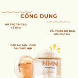 Kem Dưỡng Sáng, Phục Hồi, Chống Lão Hoá NMN Renew Cream Rire 50g