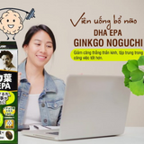 Viên Uống DHA - EPA bổ não, tăng cường thị lực, phòng chống đột quỵ Ginkgo NOGUCHI Nhật Bản