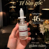 Bột Tế Bào Gốc Phục Hồi Dưỡng Sáng Da KI Velours Silky Cream 10g