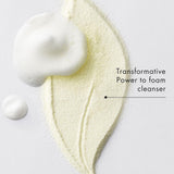 Sample bột sửa mặt tẩy tế bào chết Enzyme Peel Cleansing Powder Amore Pacific Chiết xuất lá trà xanh (30 viên )