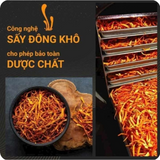 Gói Đông Trùng Hạ Thảo Hàn Quốc Sấy Khô Loại Thượng Hạng Hàn Quốc