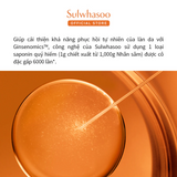 Serum Tinh Chất Nhân Sâm chống lão hóa, Cải thiện nếp nhăn Sulwhasoo Concentrated Ginseng Renewing Serum - Mini size 8ml