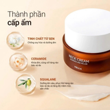Kem Dưỡng Trẻ Hóa Da Vùng Cổ Vella Ultimate Age Killer Neck Cream 50ml