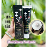 Kem Đánh Răng Hàn Quốc Hắc Sâm Hanil Black Ginseng Toothpaste