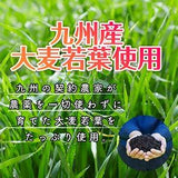 Nước ép lúa mạch siêu  trái cây collagen giúp giãm cân thải mở thừa và làm đẹp da   Nippon Yakken Super Fruit Green Juice Diet Nhật Bản
