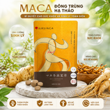 Thuốc bổ thận , ngủ ngon, điều hoà nội tiết  Sâm Đông Trùng Hạ Thảo Sâm Maca