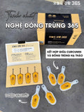 Nghệ nano đông trùng curcumin 365 premium Hàn Quốc  tăng sức đề kháng hỗ trợ tiêu hóa giúp tăng sức khoẻ cơ bắp giảm viêm và đau nhức cải thiện làn da sáng mịn