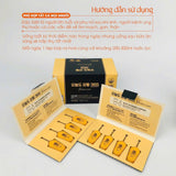 Nghệ nano đông trùng curcumin 365 premium Hàn Quốc  tăng sức đề kháng hỗ trợ tiêu hóa giúp tăng sức khoẻ cơ bắp giảm viêm và đau nhức cải thiện làn da sáng mịn