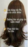 Sample Dầu xả thảo dược Đông y Whoo Spa RINSE (25 gói x8ml =200ml )