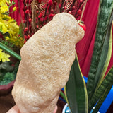 Bánh Phồng Tôm Đặc Sản Cà Mau