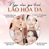 Nước Uống Tế Bào Gốc Nhau Thai Ngựa Chiến Mông Cổ Cao Cấp NMN Nhật + Tặng kèm 1 hộp thạch tổ yến đông trùng hạ thảo 15 tép .