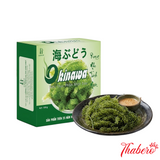 Okinawa Sea Grapes – Rong Nho Tách Nước