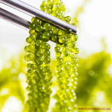 Okinawa Sea Grapes – Rong Nho Tách Nước