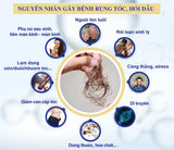 Serum dưỡng kích thích mọc tóc Kaminomoto Higher Strength Nhật Bản.