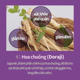 Thạch collagen tinh chất nước ép Lê  Hồng sâm Mật ong EL Nutri Premium