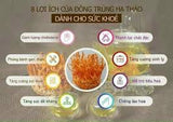 Gói Đông Trùng Hạ Thảo Hàn Quốc Sấy Khô Loại Thượng Hạng Hàn Quốc