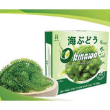 Okinawa Sea Grapes – Rong Nho Tách Nước