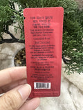 Sample Kem chống nắng vitamin đỏ chống lão hoá kiểm soát dầu The Whoo UV Red Vitamin Sunscreen (120 GÓI X 1ML=120ML)
