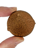 Bánh quy Socola béo ngậy Nhật Bản Fujiya Country Ma'am - Vị Socola