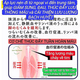 Tất vớ làm thon gọn bắp chân, chống giãn tĩnh mạch tê bì Nhật - Loại Mát