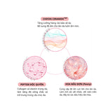 Tinh chất dưỡng ẩm mịn màng da và tăng cường khoẻ mạnh hàng rào da chống oxy hoá   Ohui Miracle Moisture Essence - 20ml